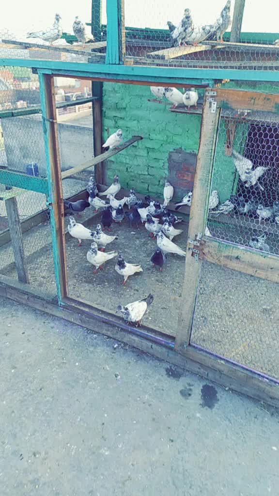 @user2232287689052