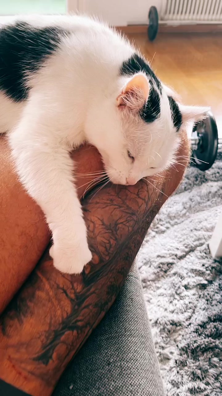 @johnny_fame_