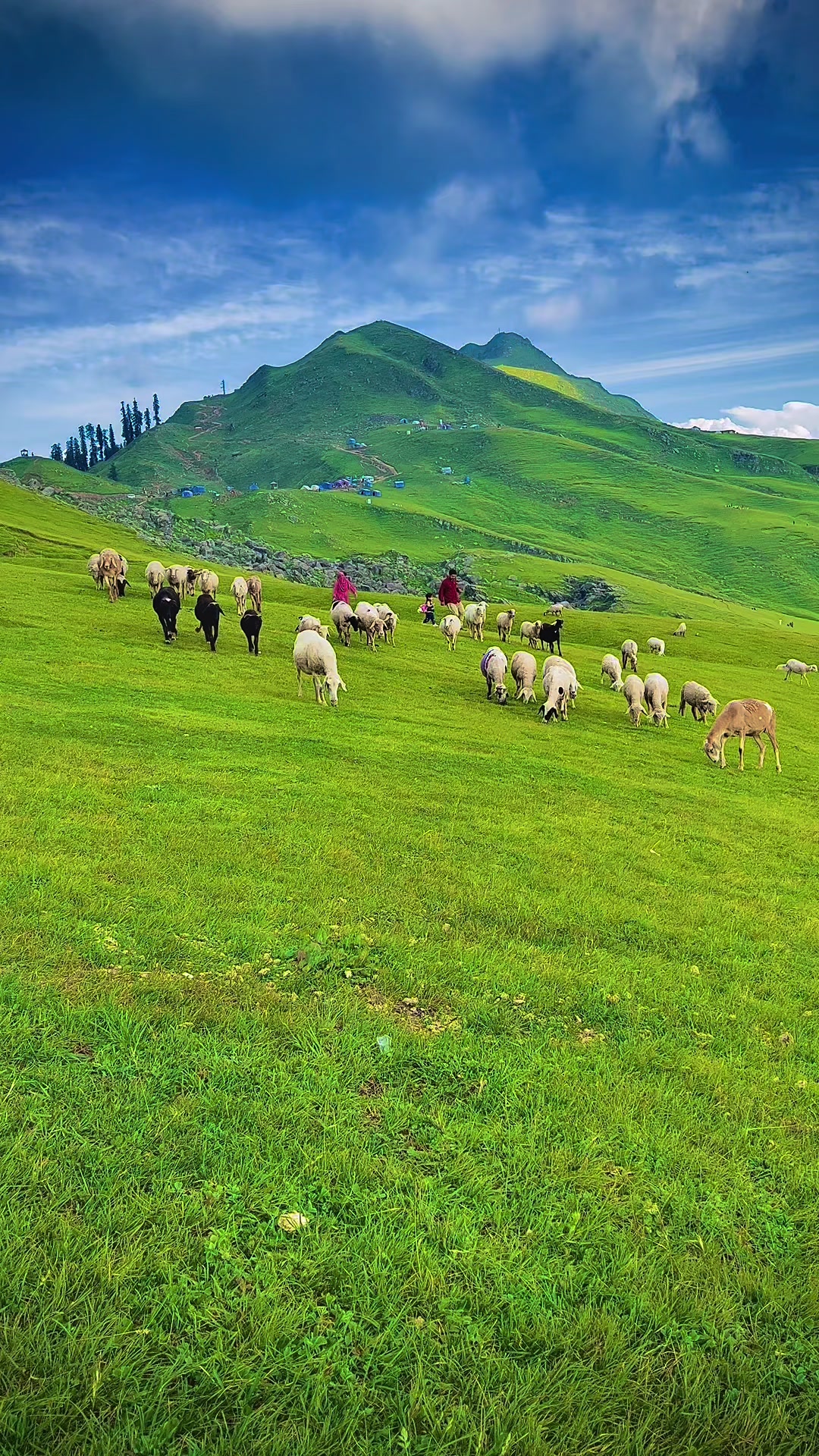 @Kashmir Valley ♥️