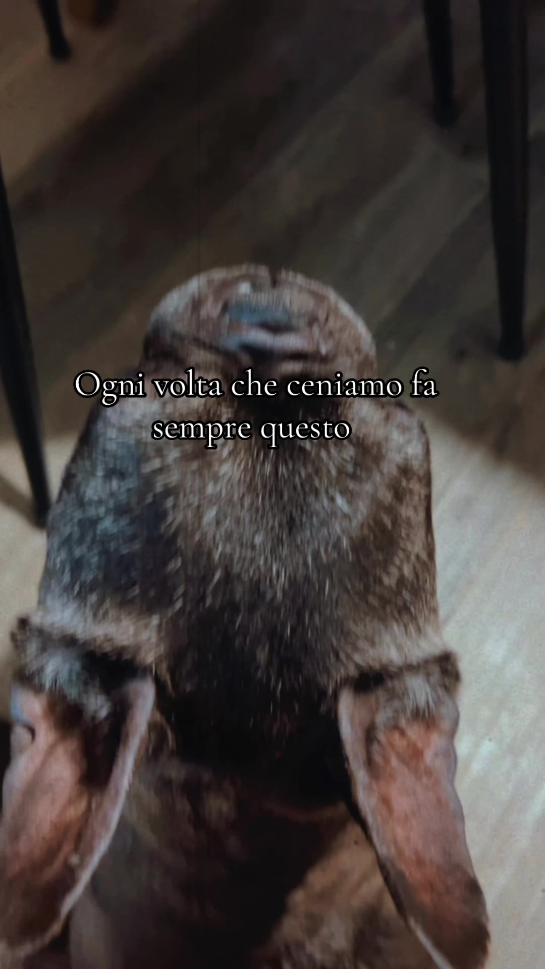 @RobiliaDeMin