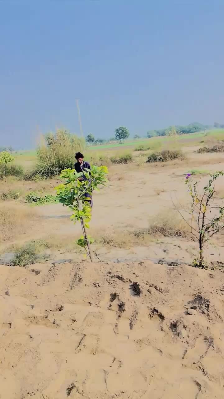 @Allah Ditta bijali 123