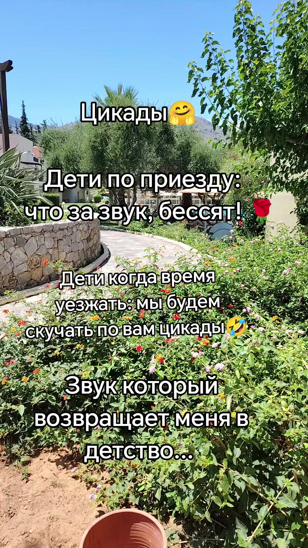 @Афимия Адамиди