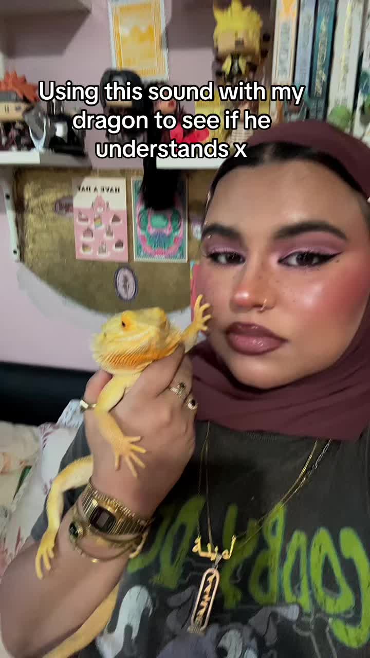 @aminahxarts🇵🇸🇵🇰