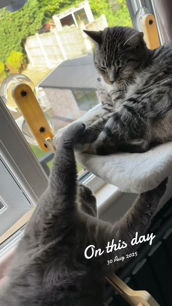 @Otis&Luna