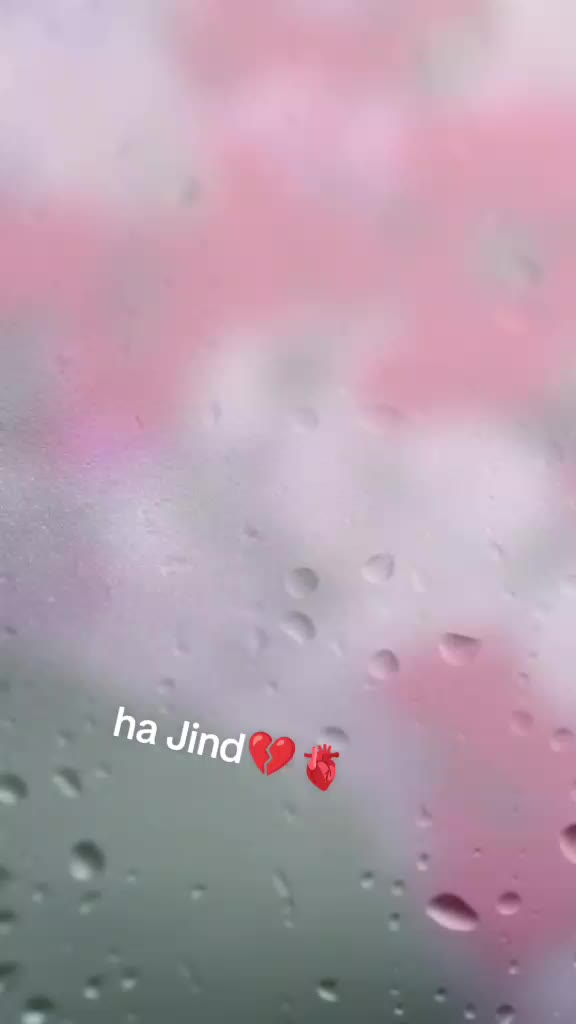 @malik Mohsin