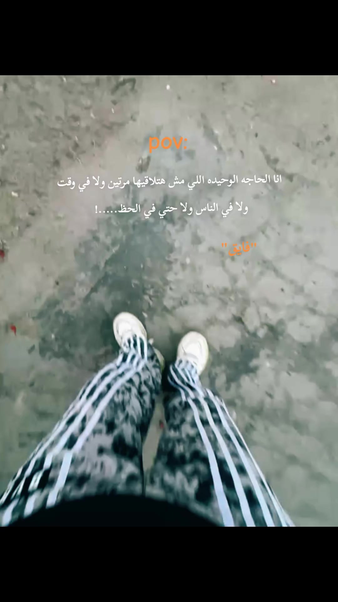@(برازيلي) بس مصري🐺'