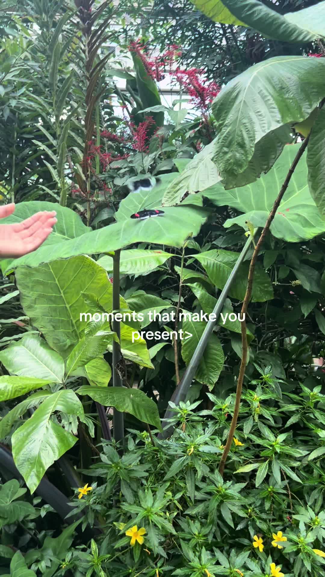 @jybriiman