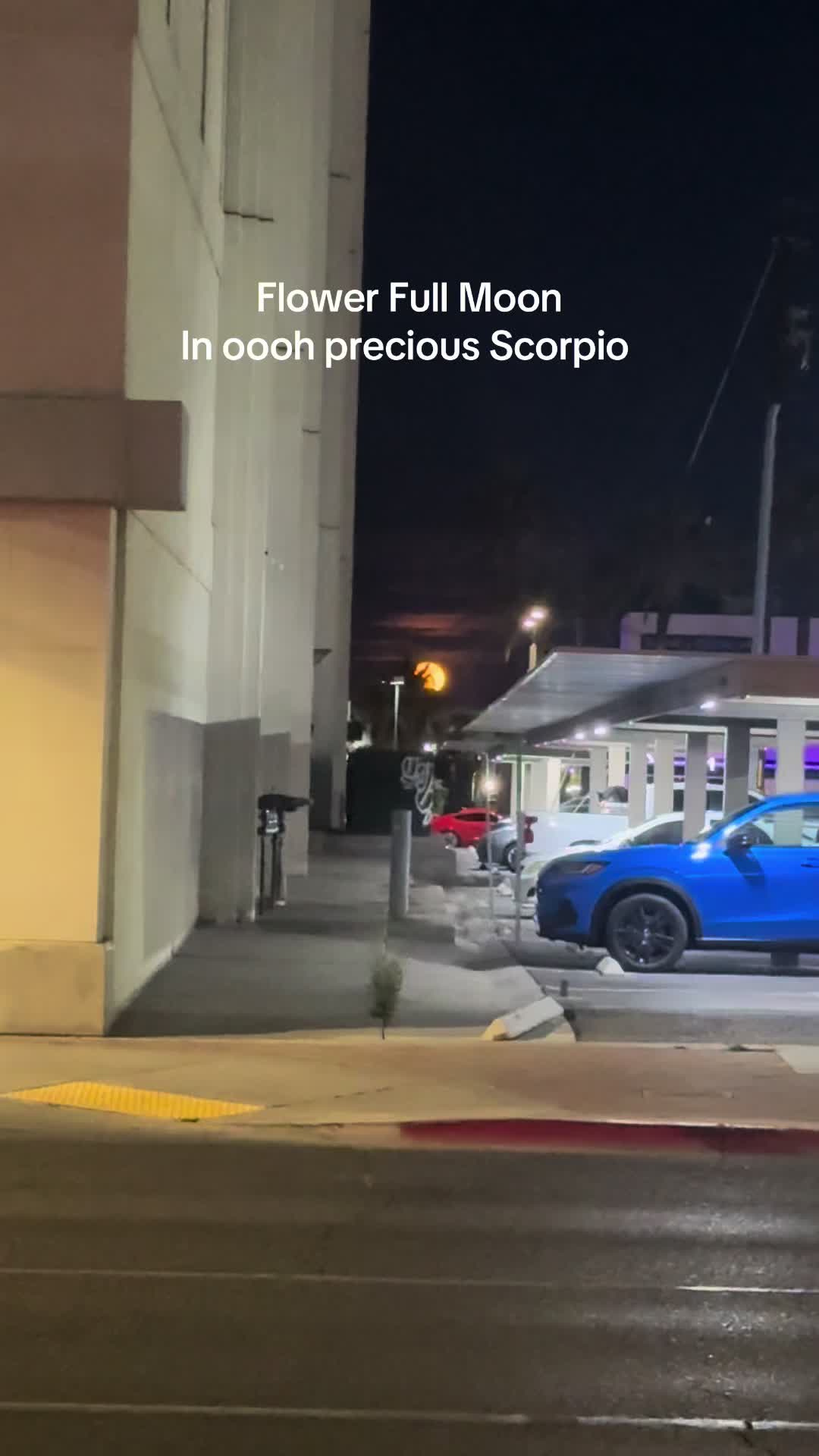@Nona🦋🏳️&zwj;🌈