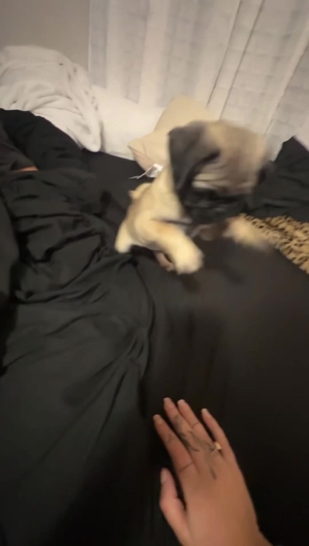 @𝓂𝒶𝒹𝒾 🐆🎱