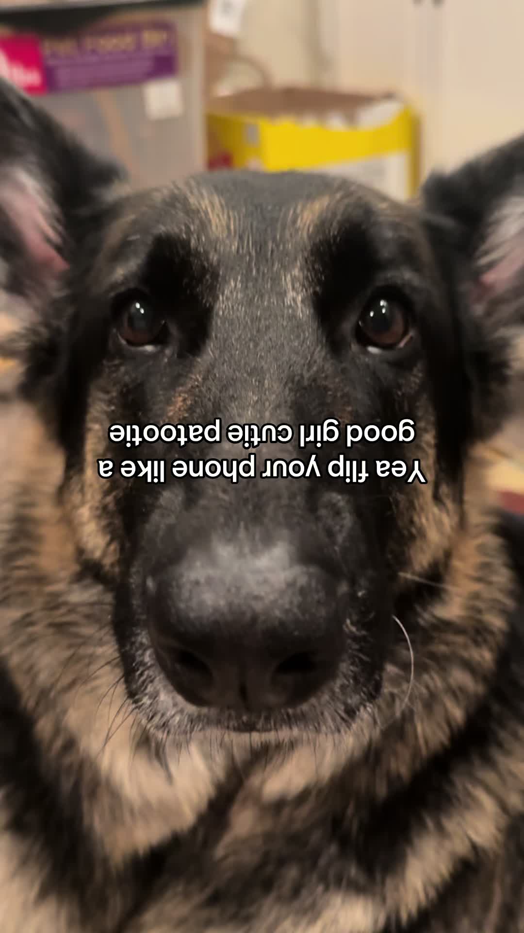 @Bhris