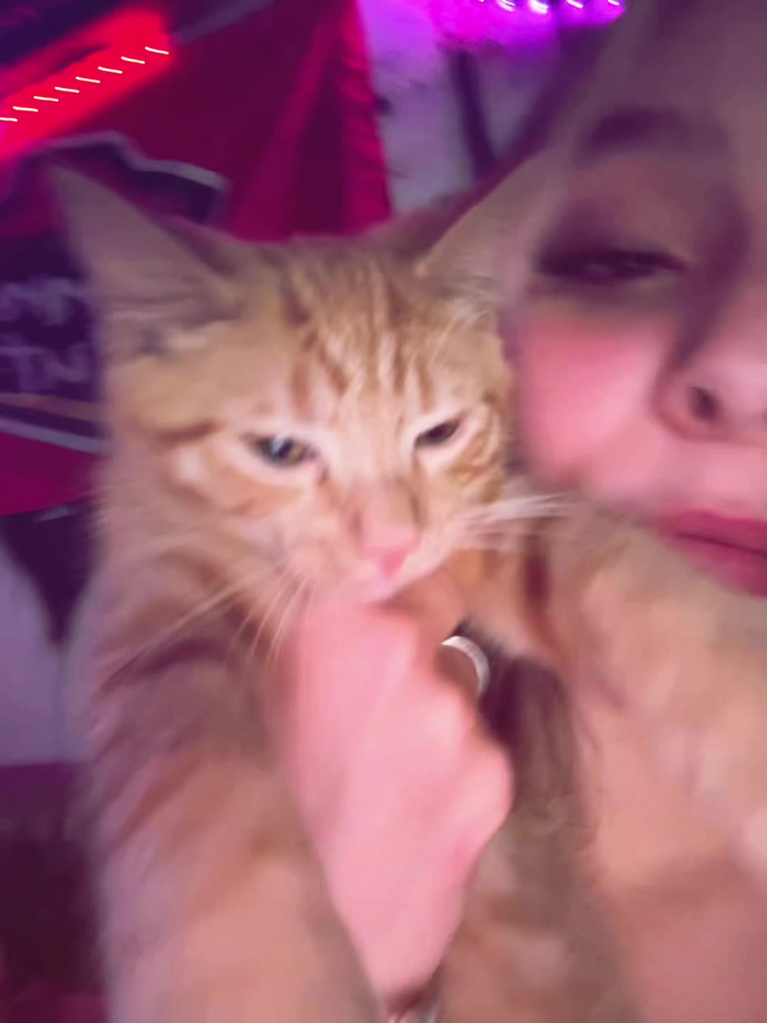 @️nikki😝