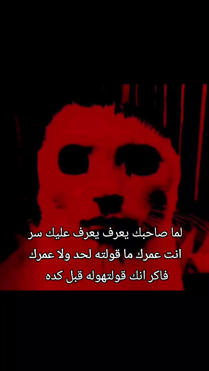 @شوكه مطبخ