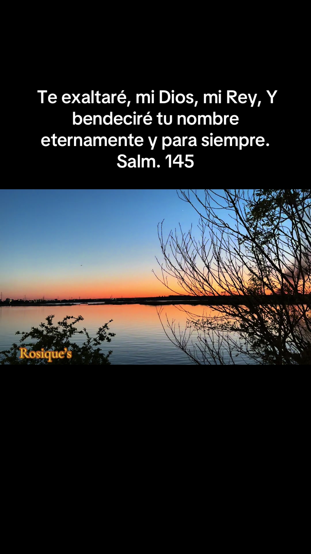 @Rosique NY