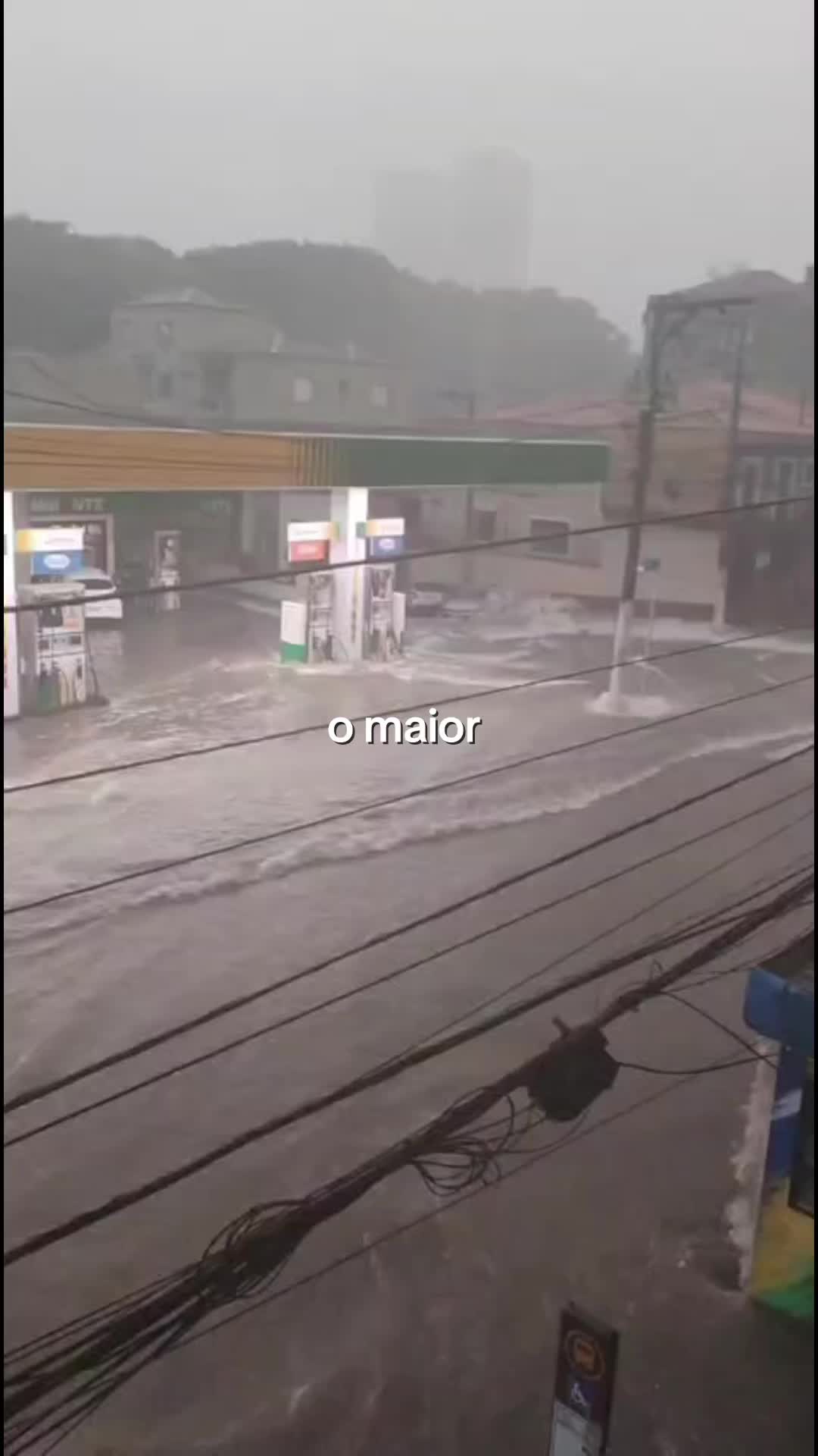 @fefê ·͜·