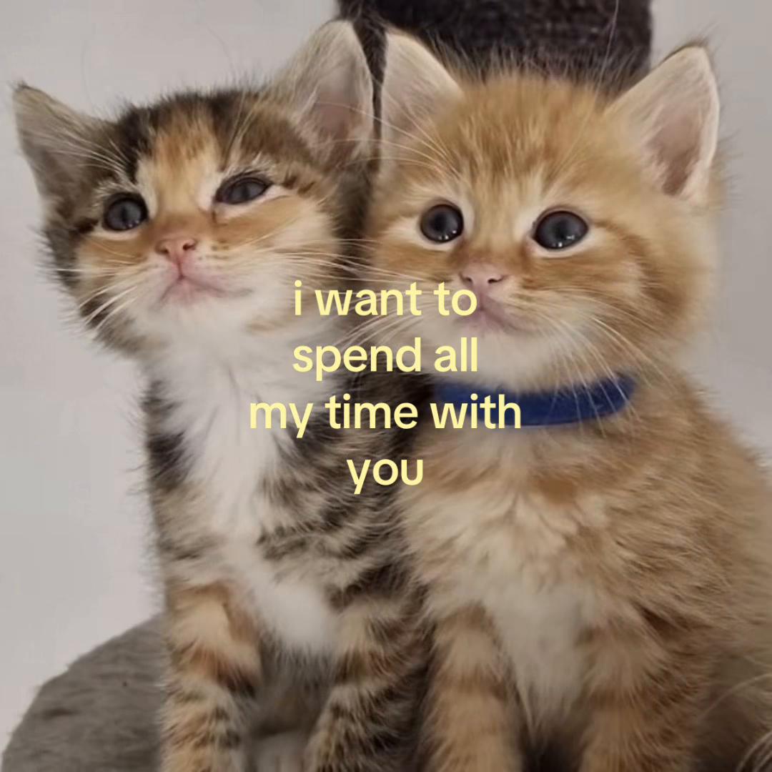 @thisbelovedlife