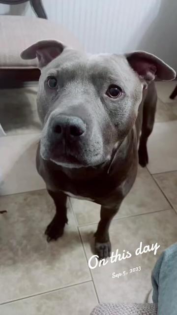 @ogtraviesa メˇ𝘰