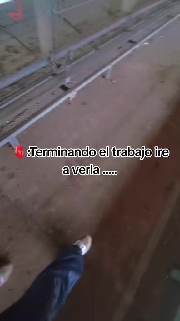 @Mauro 🖤🖤