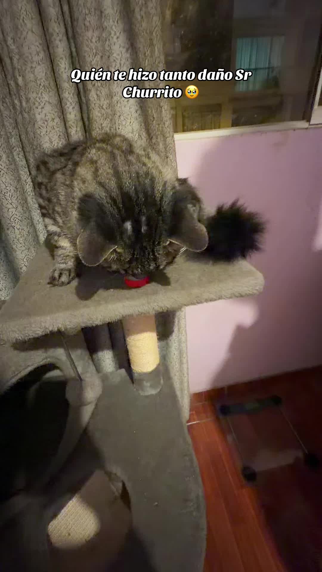 @𝓟𝓪𝓶𝓮𝓵𝓪 ♡
