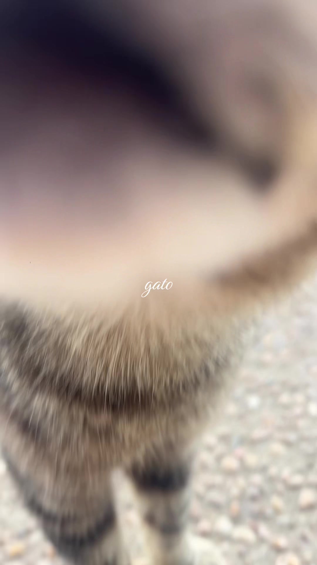 @genelle♡︎