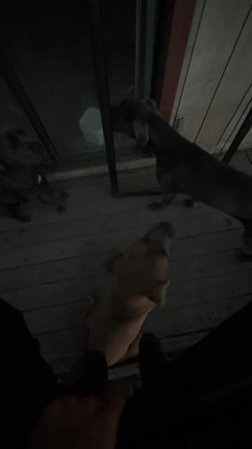 @CC.Corsos