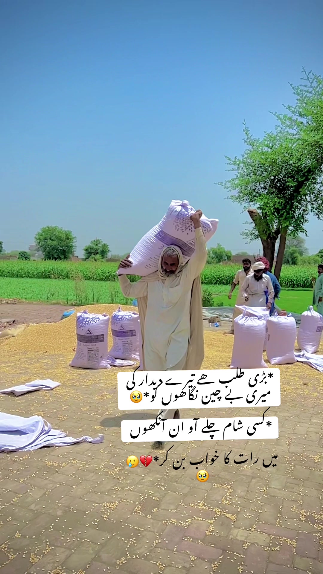 @شہزاد (جٹ) ہنجرا