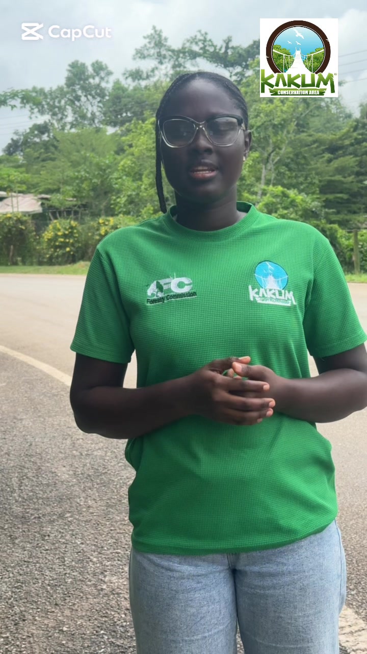 @Kakum National Park