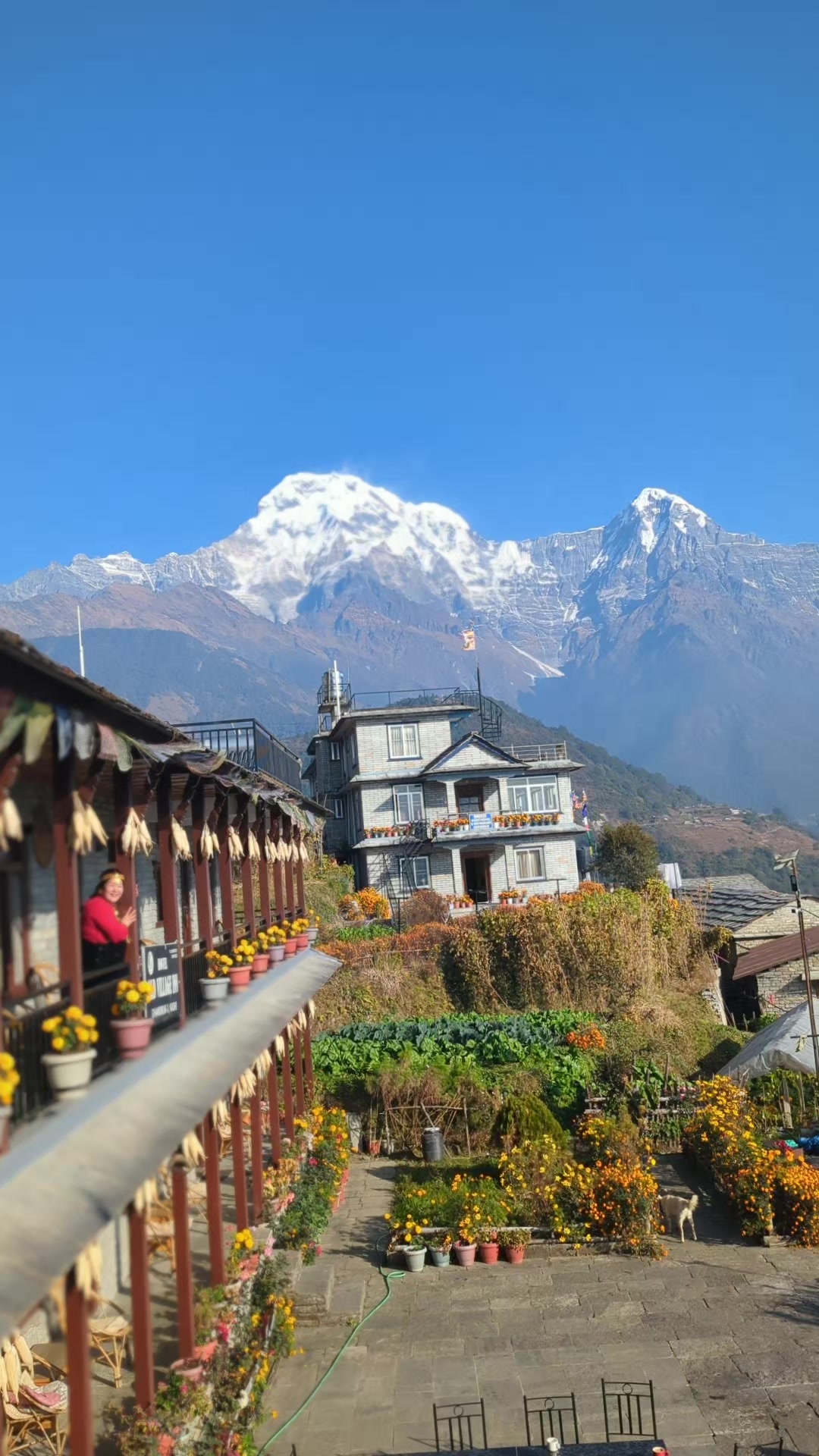 @samrika shrestha