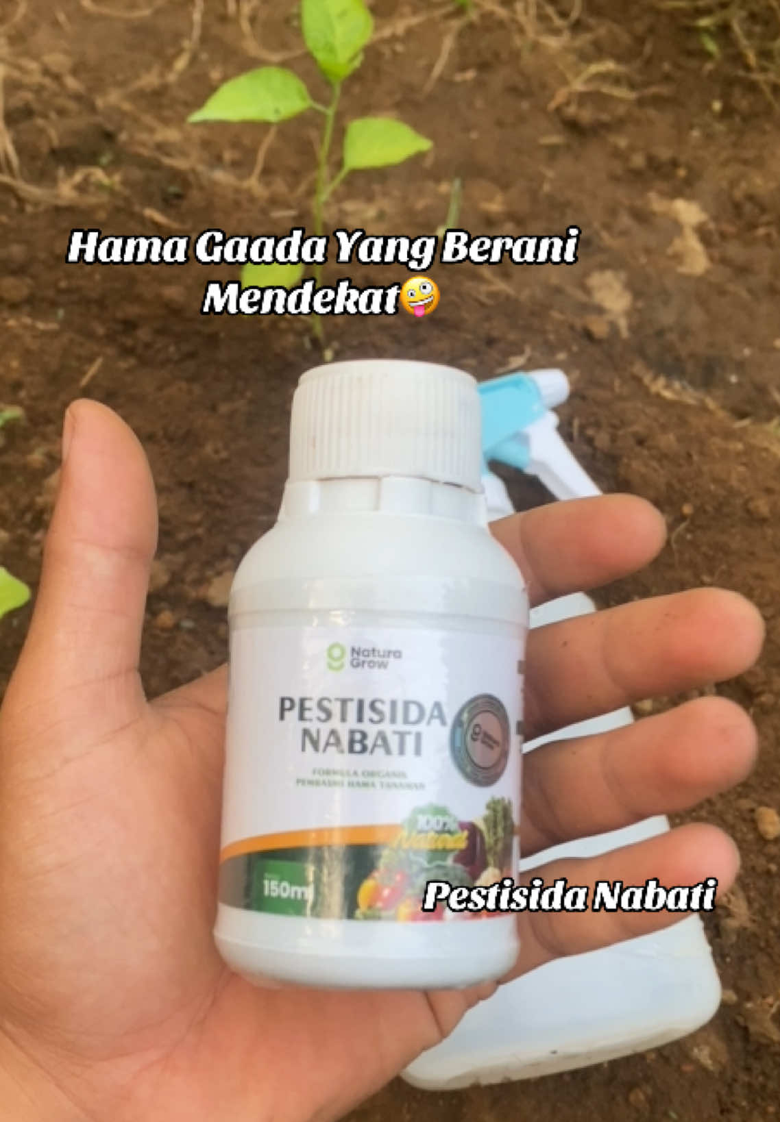 @Hendra DS