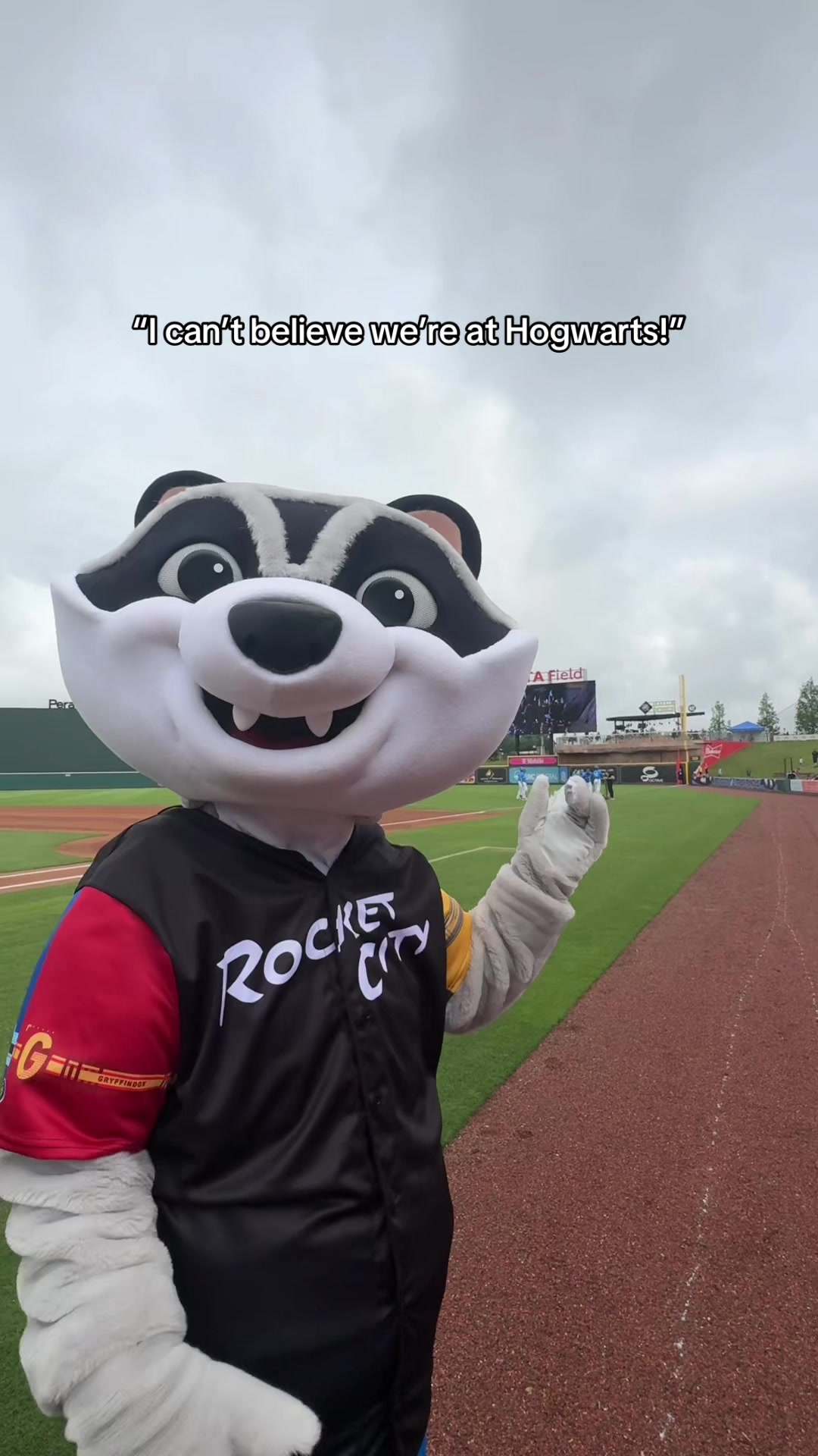 @Trash Pandas