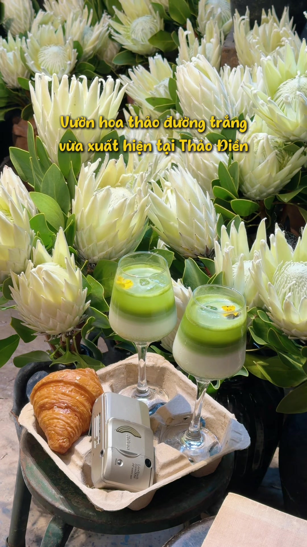 @Pao Phê