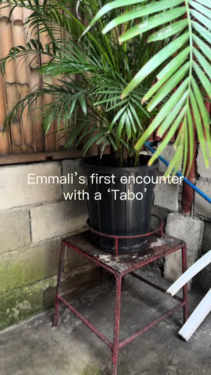 @🧋Emmali Belle 🧋