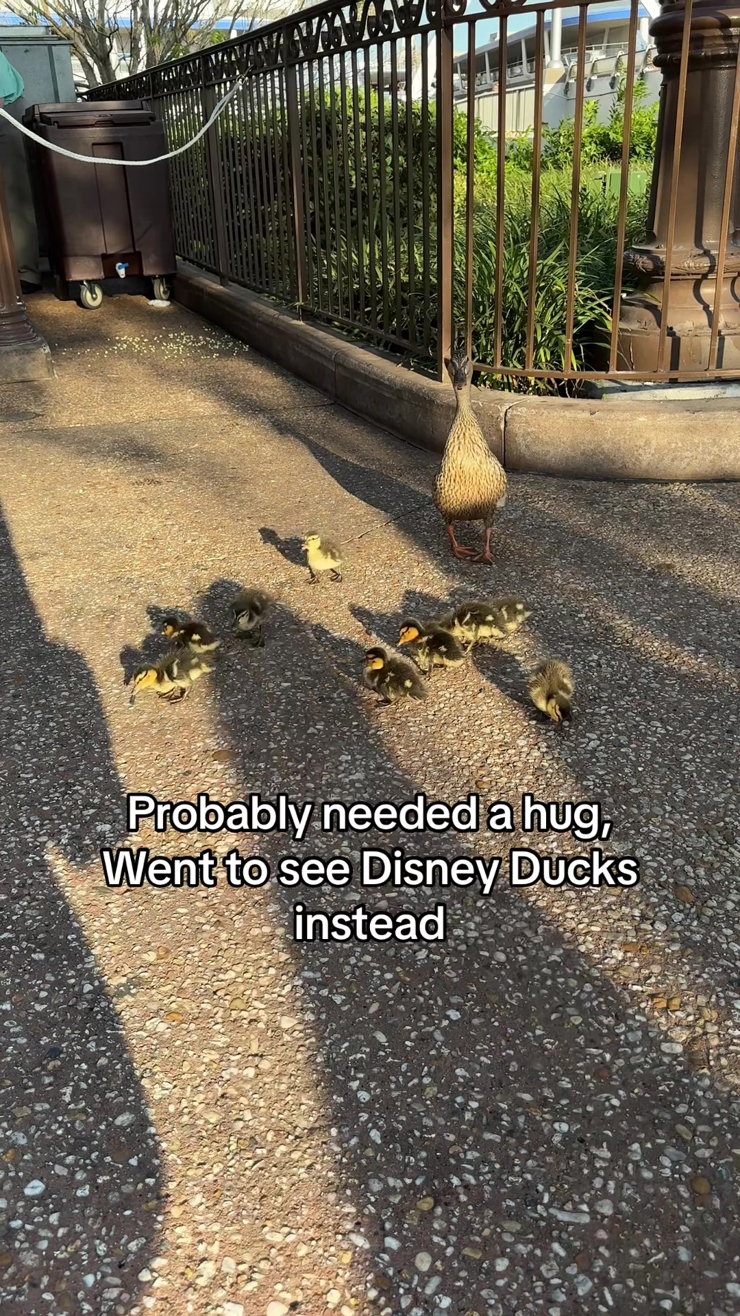 @Dust of Magic