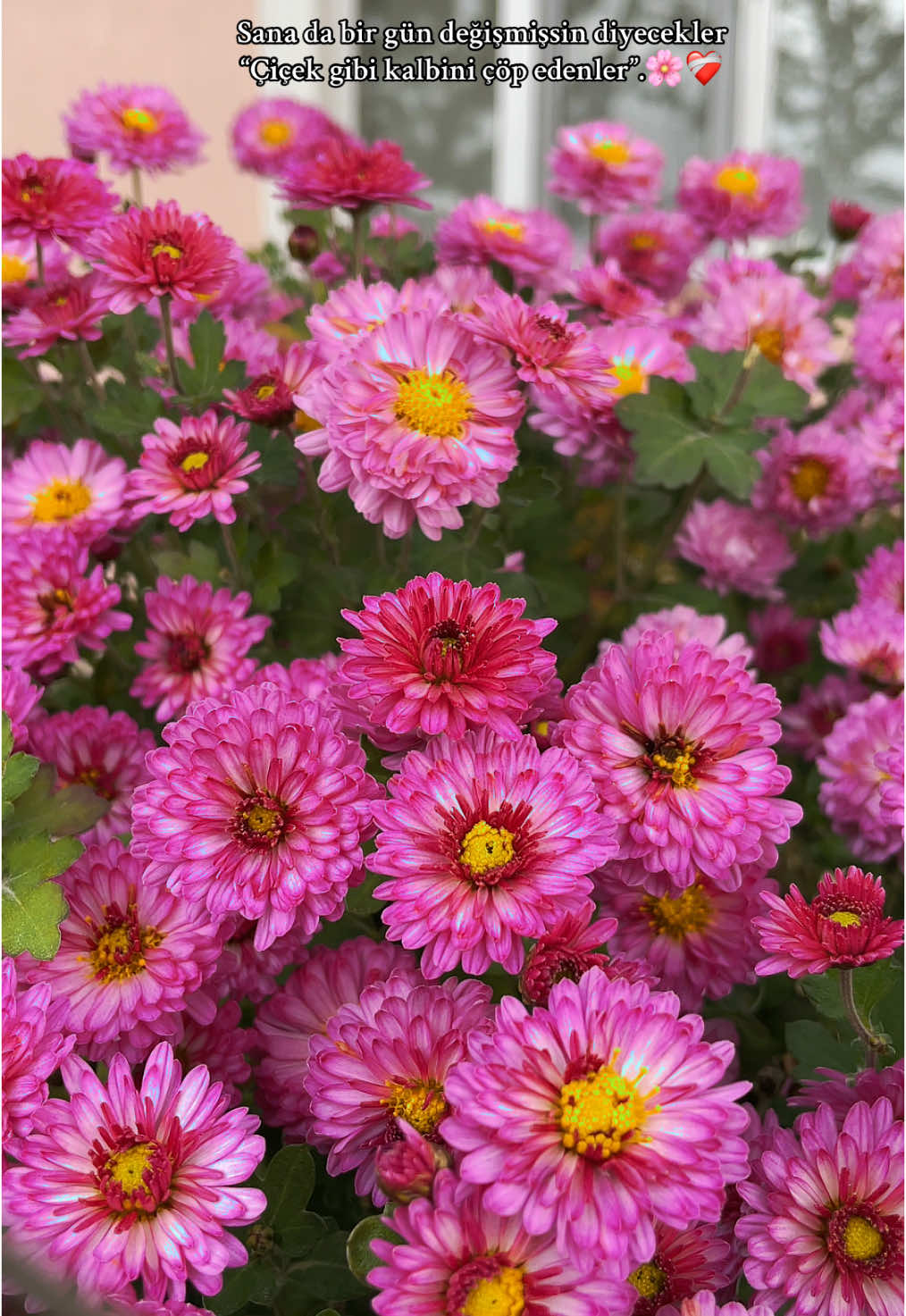 @Esra Ayyıldız 💐