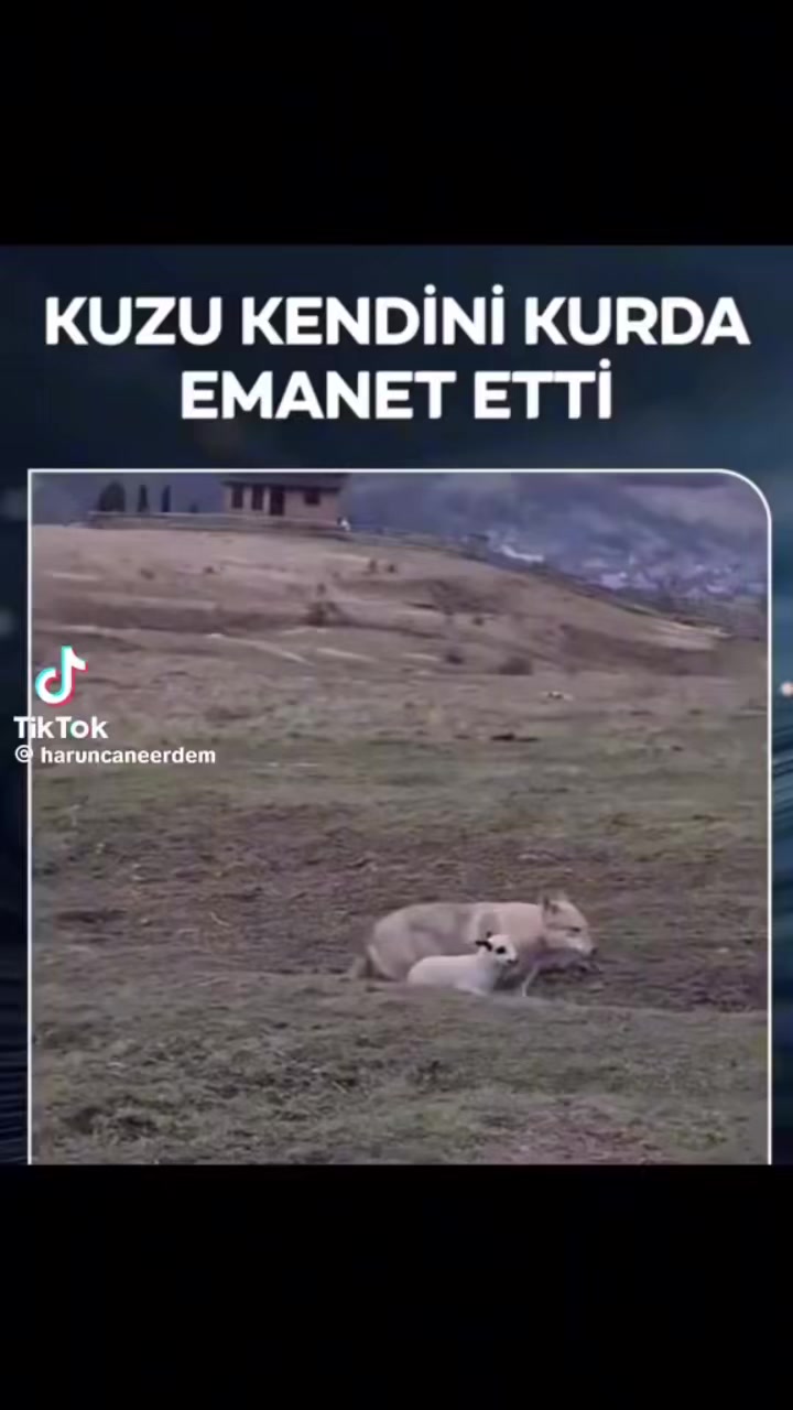 @Ahmet Hülya Çağlar