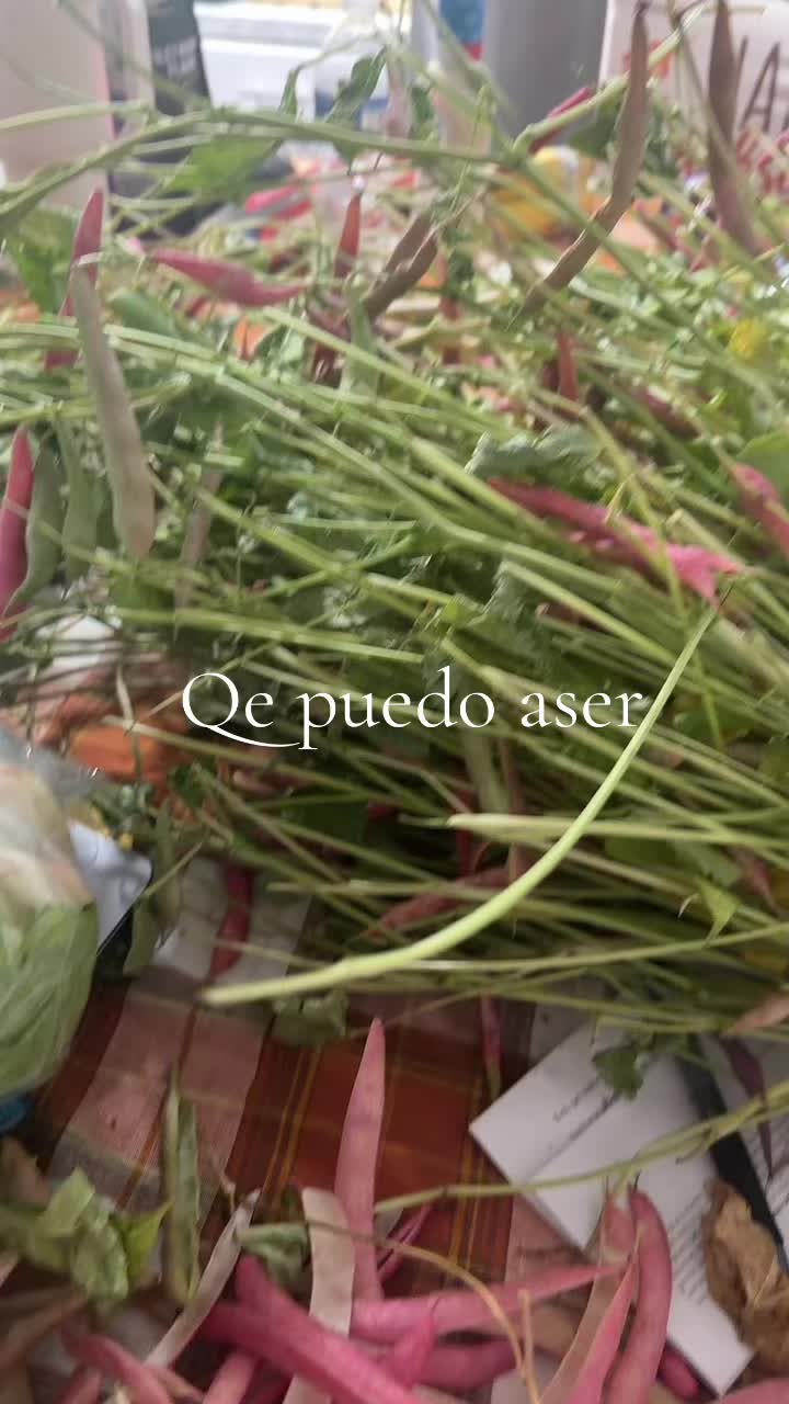 @Panterita  Rivas 🐛🦋🇭🇳