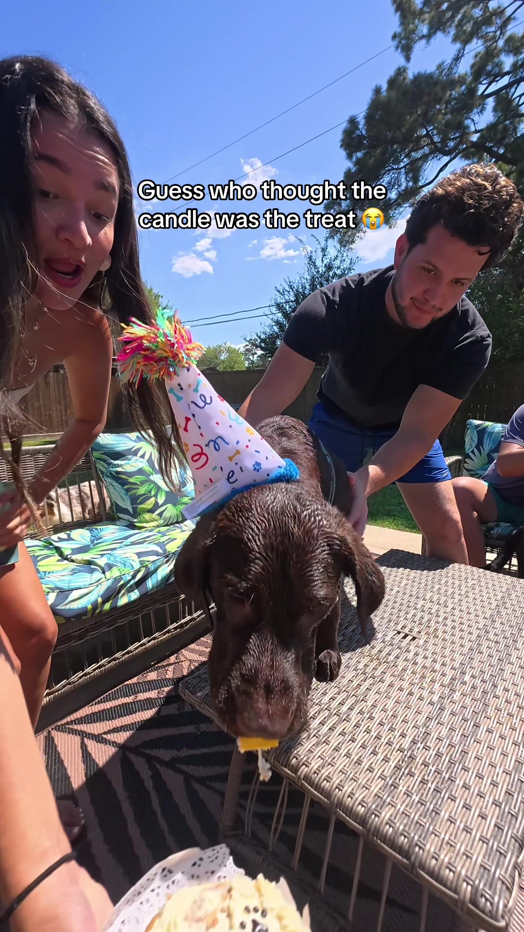 @Bruno Chocolate Lab