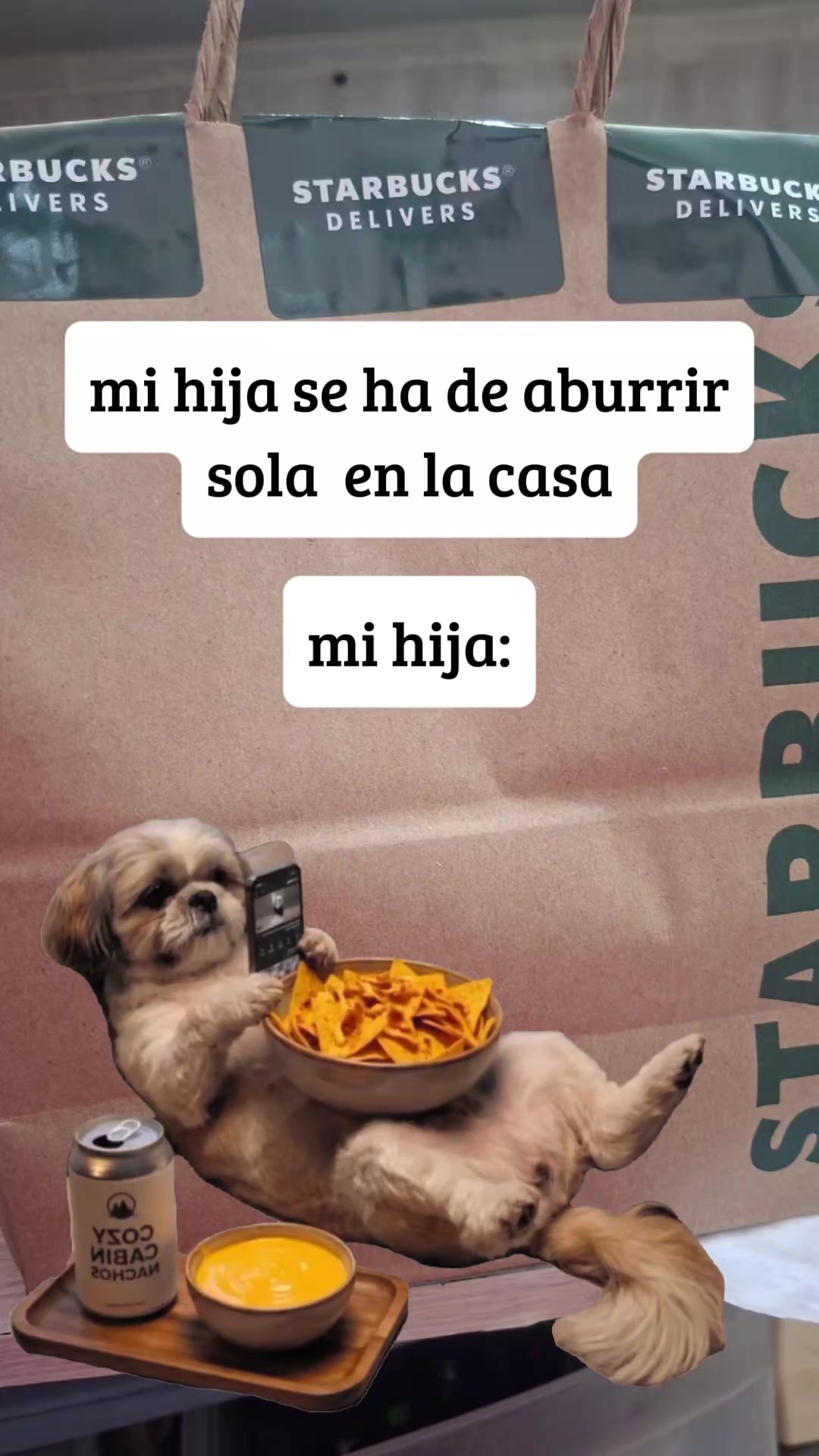 @Yuz Loa
