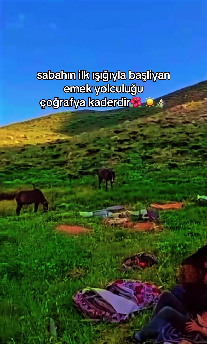 @ŞİYAR ✪