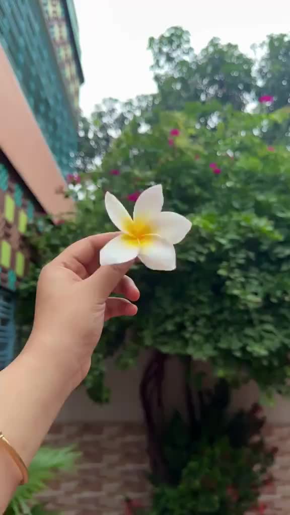 @আব্বু আম্মুর একমাত্র রাজকন্যা
