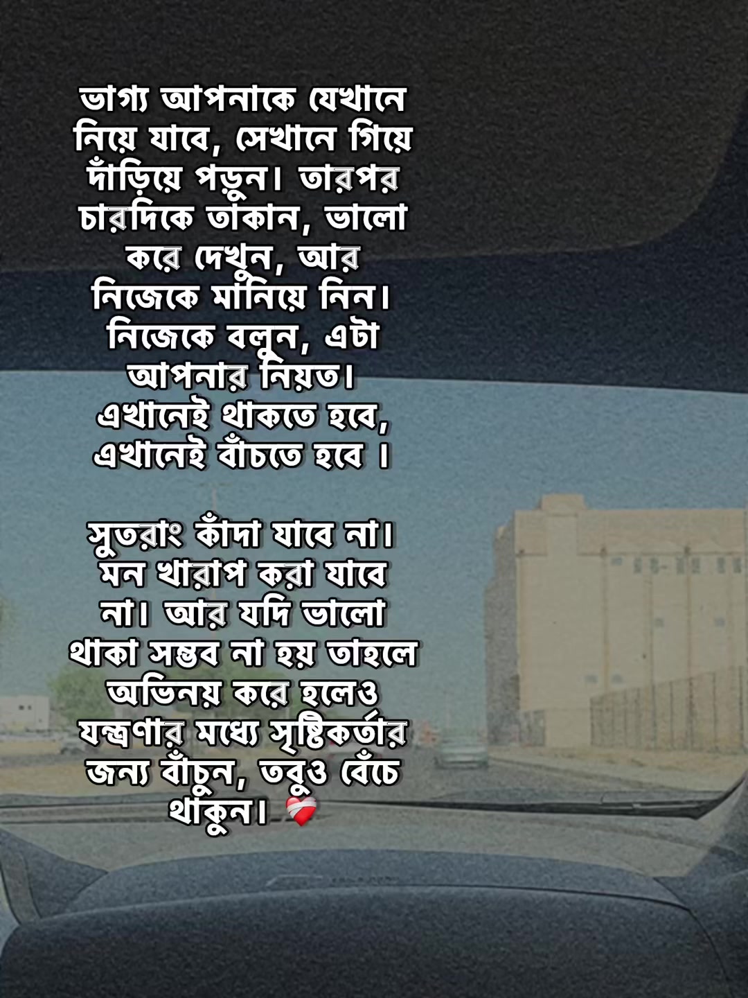 @ʝαɧɨԃ>>🌷💗