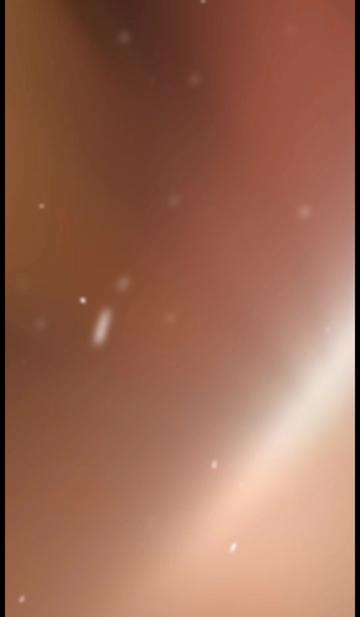 @user1268