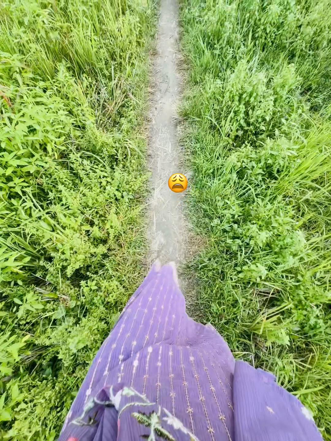 @🕊️