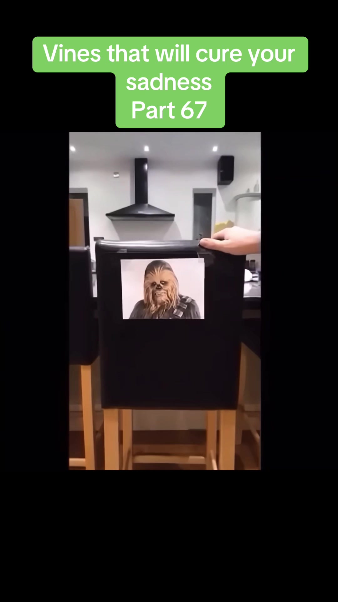 @vinesonlytiktok