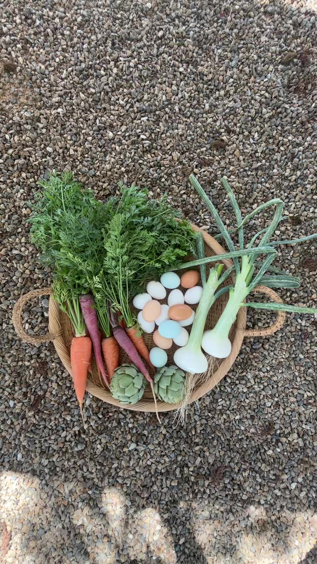 @earthboundgardening