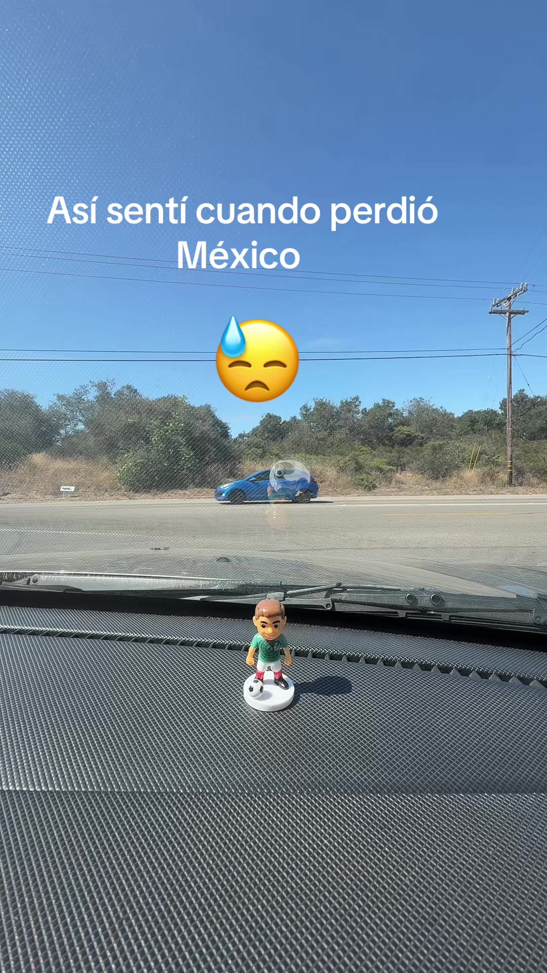 @luz Altamirano