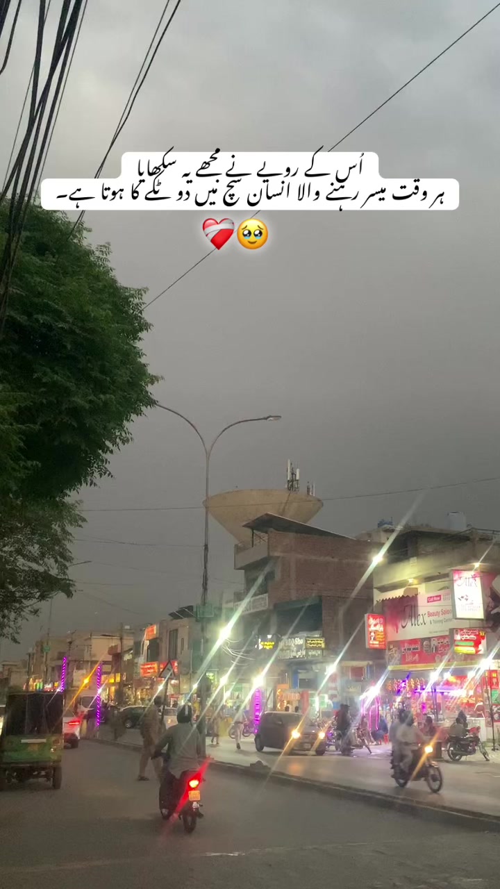 @🕊️