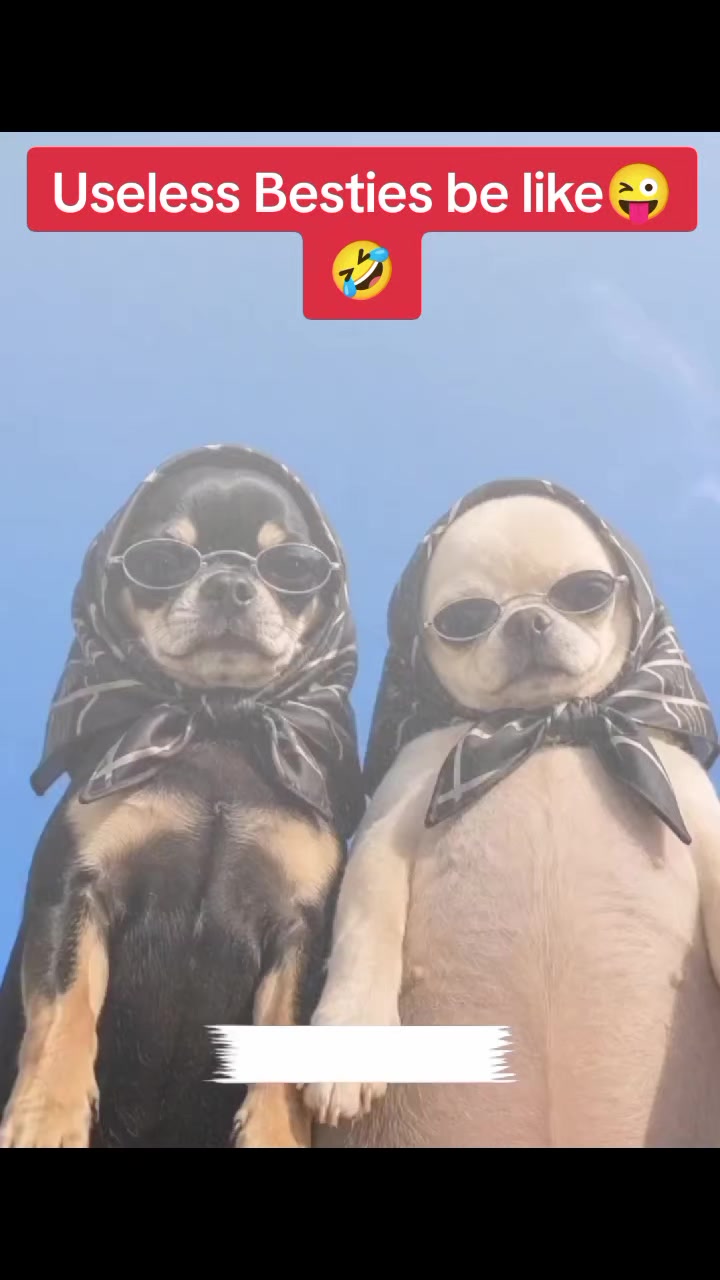 @JimJamKing🇫🇷🇺🇬