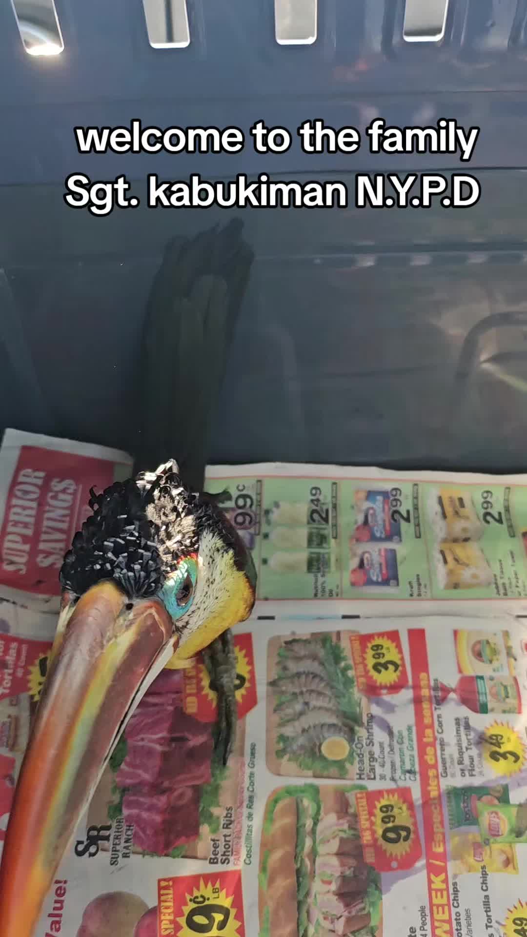 @Freakrelief