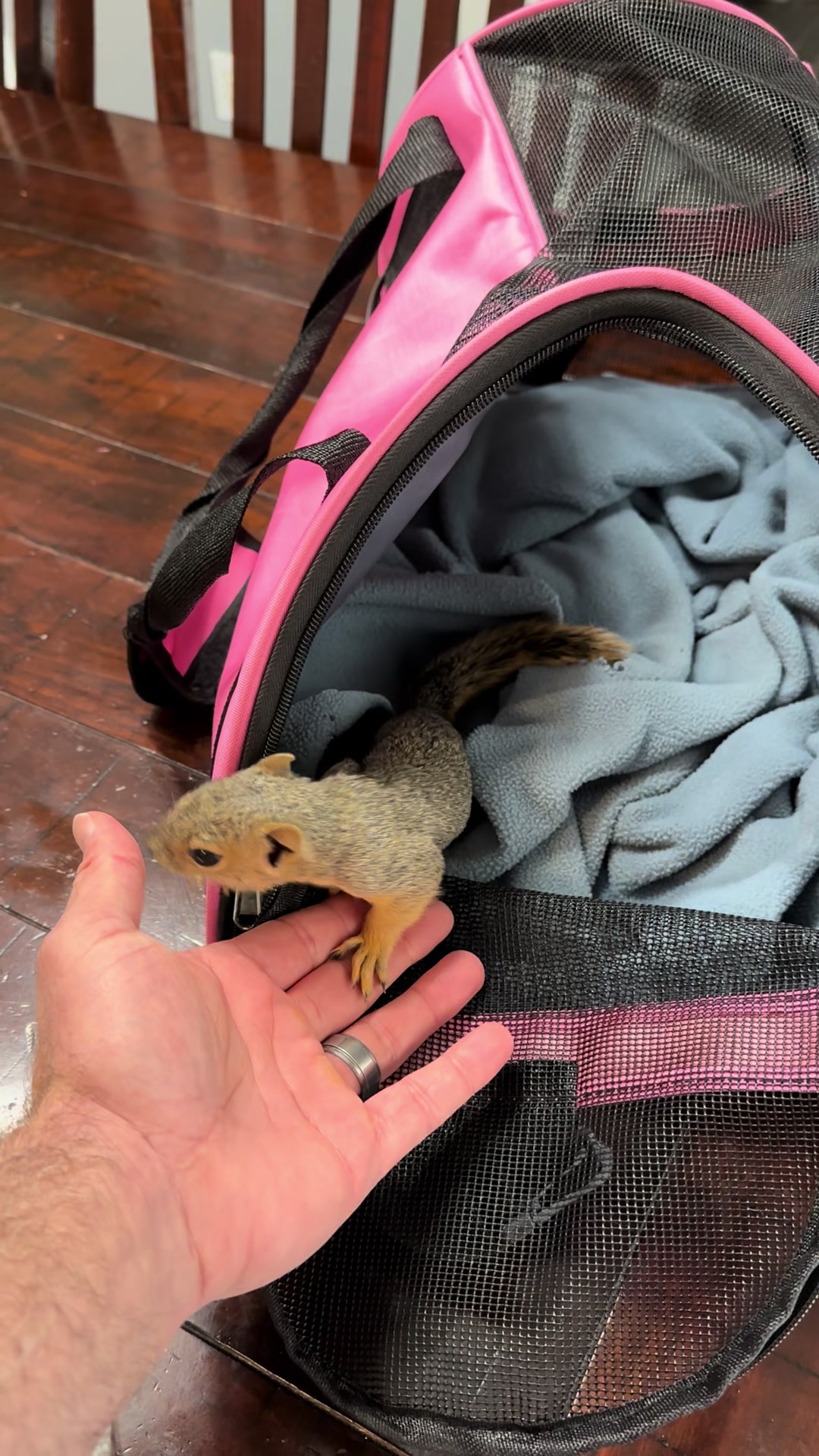 @Squirrel Guy