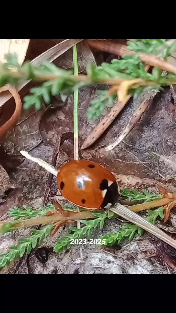 @Jask&oacute;łeczka 💫💫💫💫